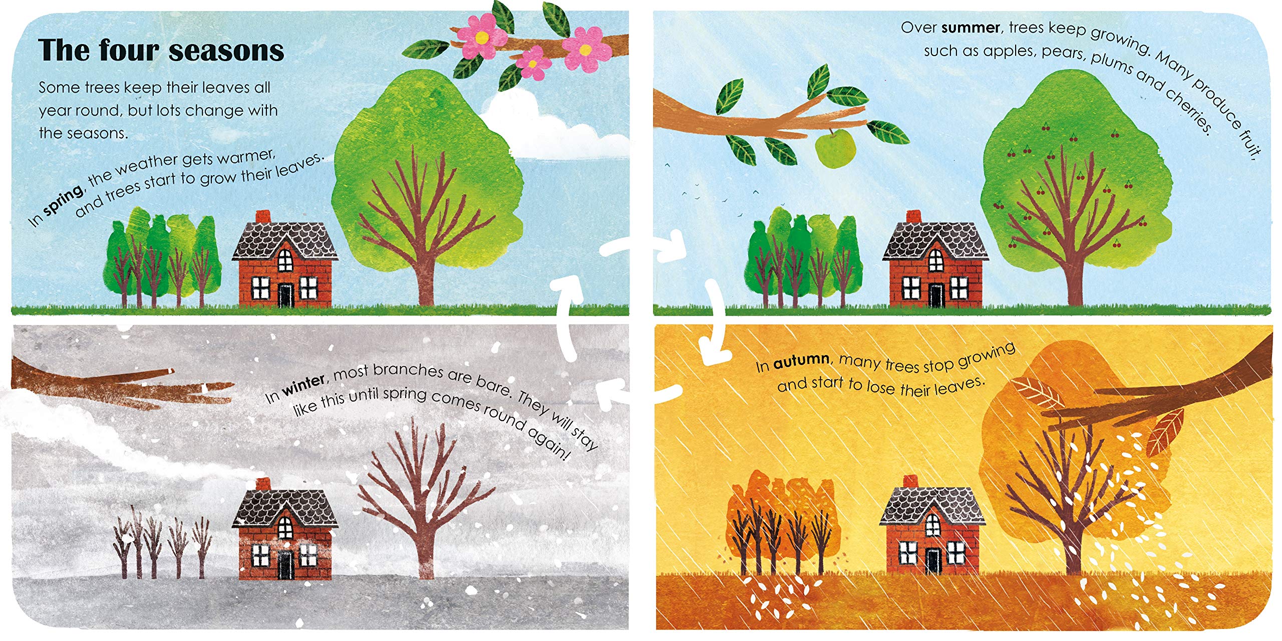 Trees: A lift-the-flap eco book | - 2 | YEO