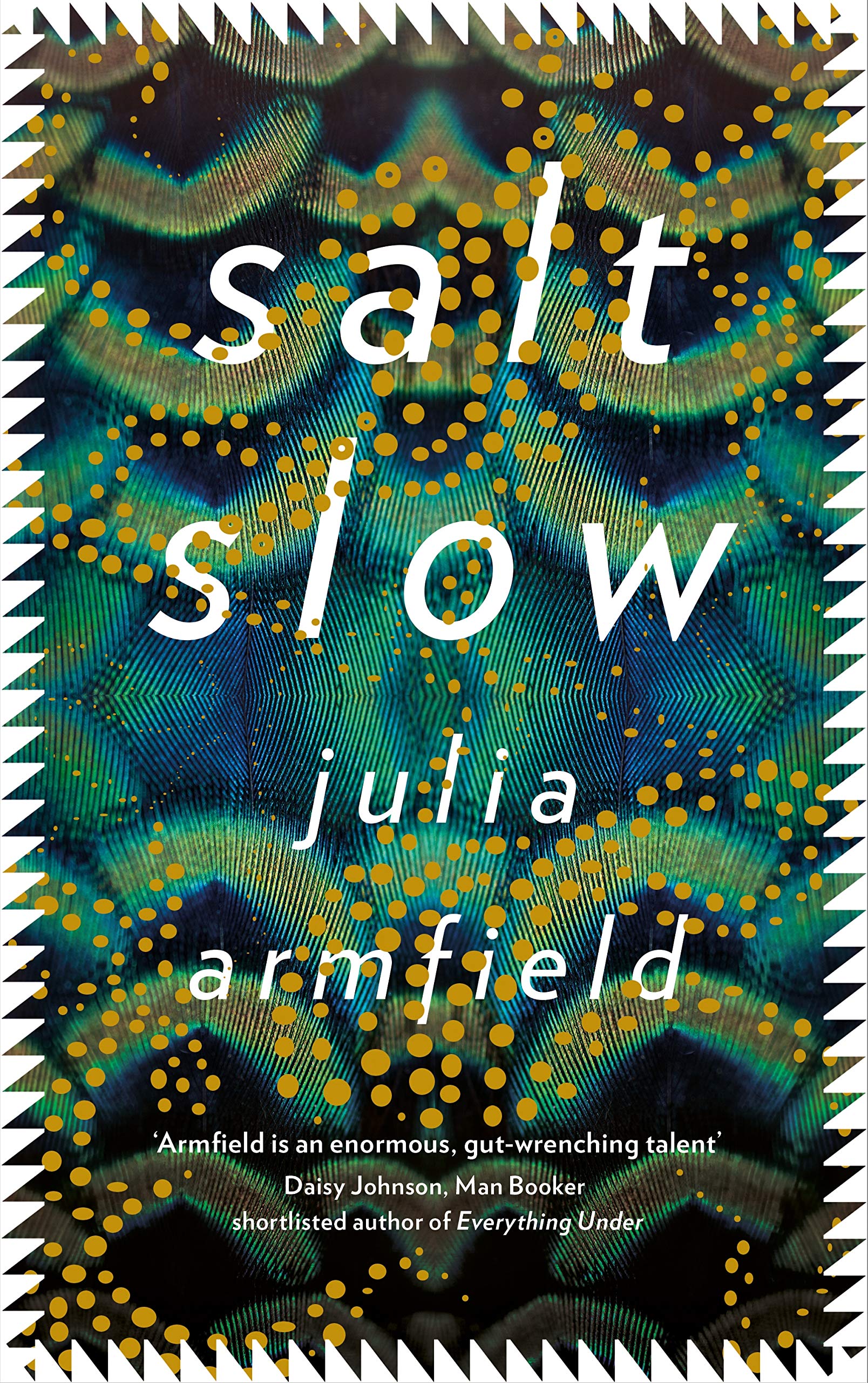 Salt Slow | Julia Armfield