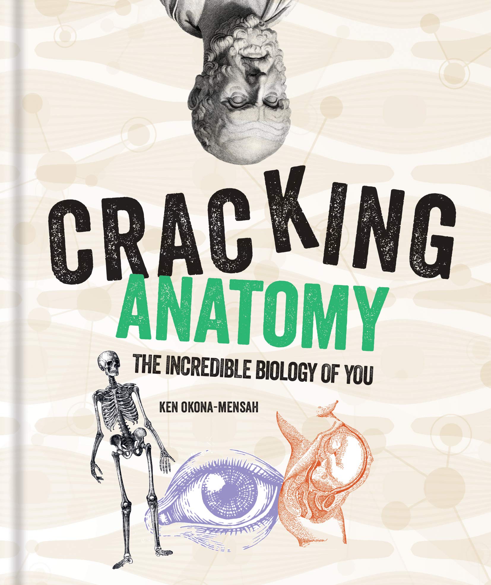 Cracking Anatomy | Ken Okona-Mensah