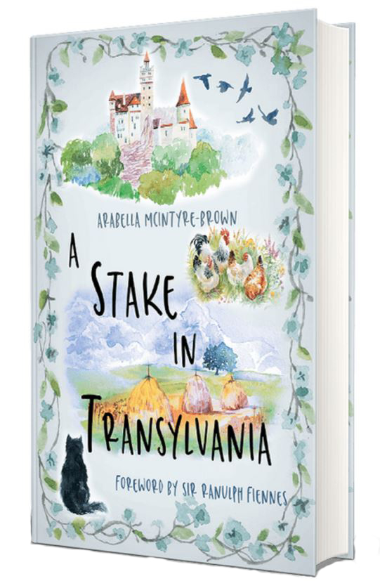 A Stake in Transylvania | Arabella McIntyre-Brown