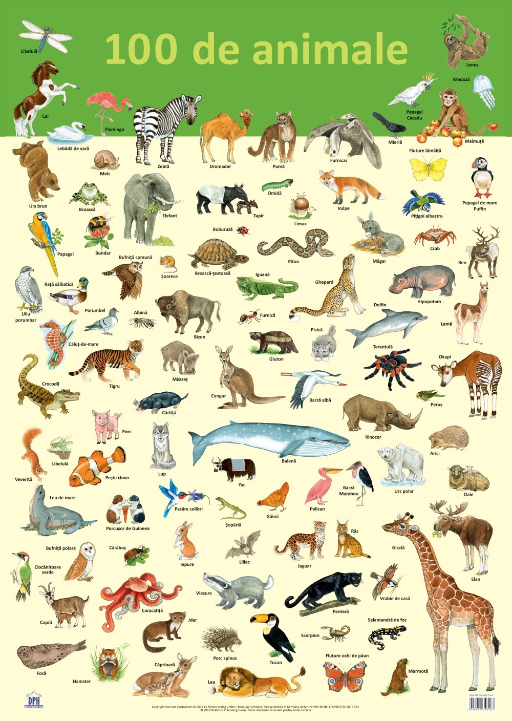 Plansa – 100 de animale | Nelson Verlag carturesti.ro