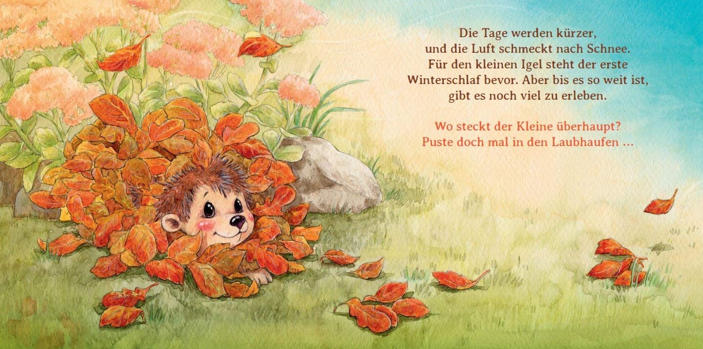 Schlaf schon, kleiner Igel | Sophie Schoenwald - 2 | YEO