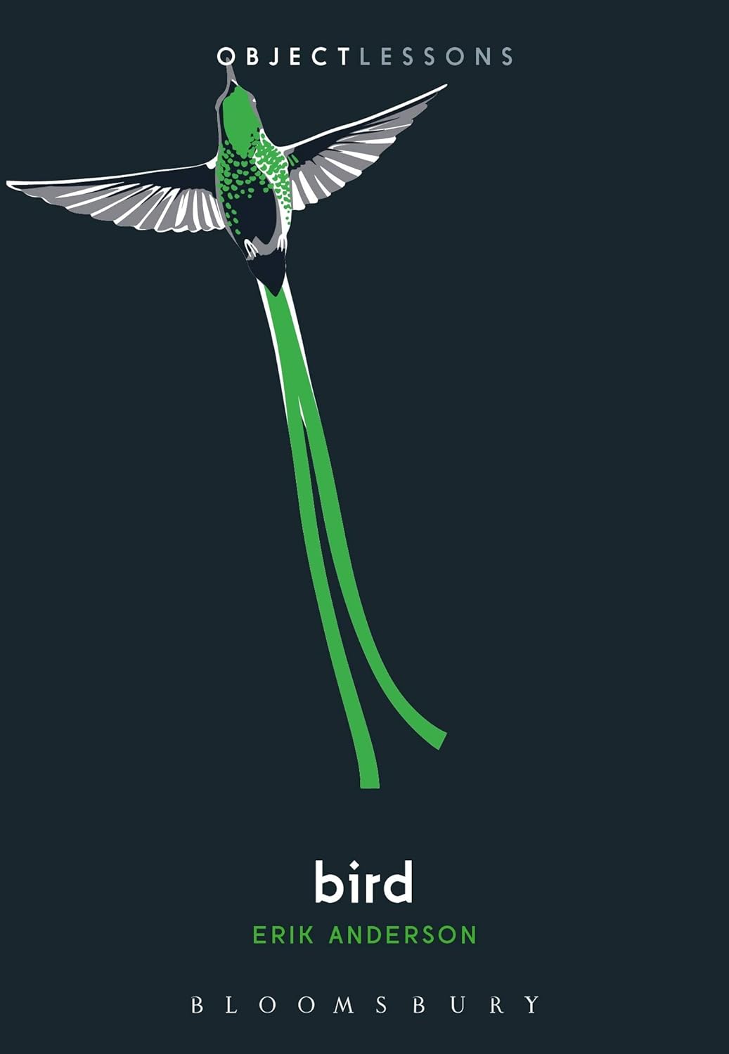 Bird | Erik Anderson