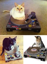 Covoras de zgariat pentru pisici - Cat DJ Scratching Deck | Suck Uk - 3 | YEO