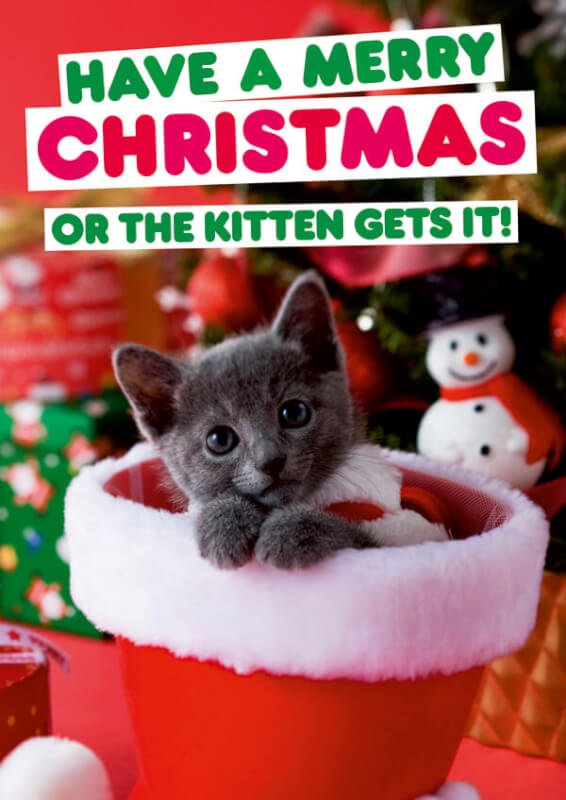 Felicitare - Have a Merry Christmas or the kitten gets it | Dean Morris Cards