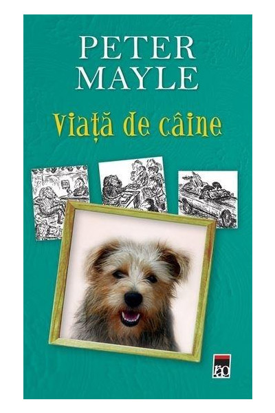 Viata de caine | Peter Mayle