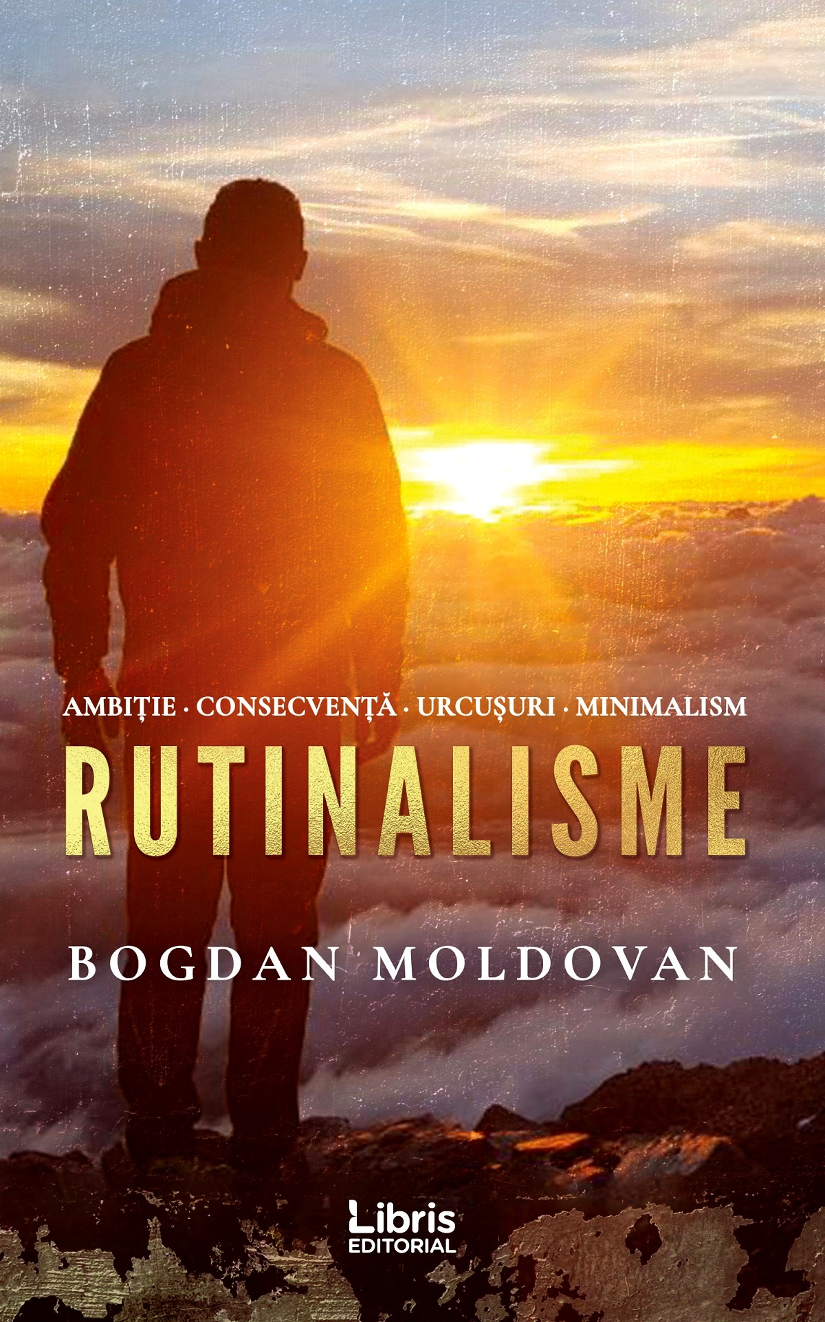 Rutinalisme | Bogdan Moldovan carturesti.ro imagine 2022