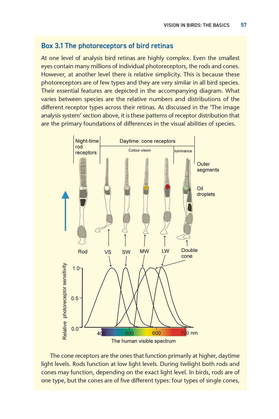 Bird Senses | Graham R. Martin