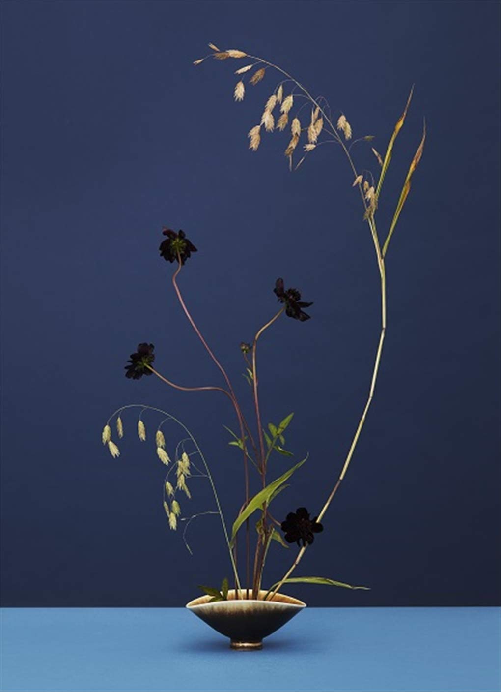 Modern Ikebana | Tom Loxley, Victoria Gaiger - 2 | YEO