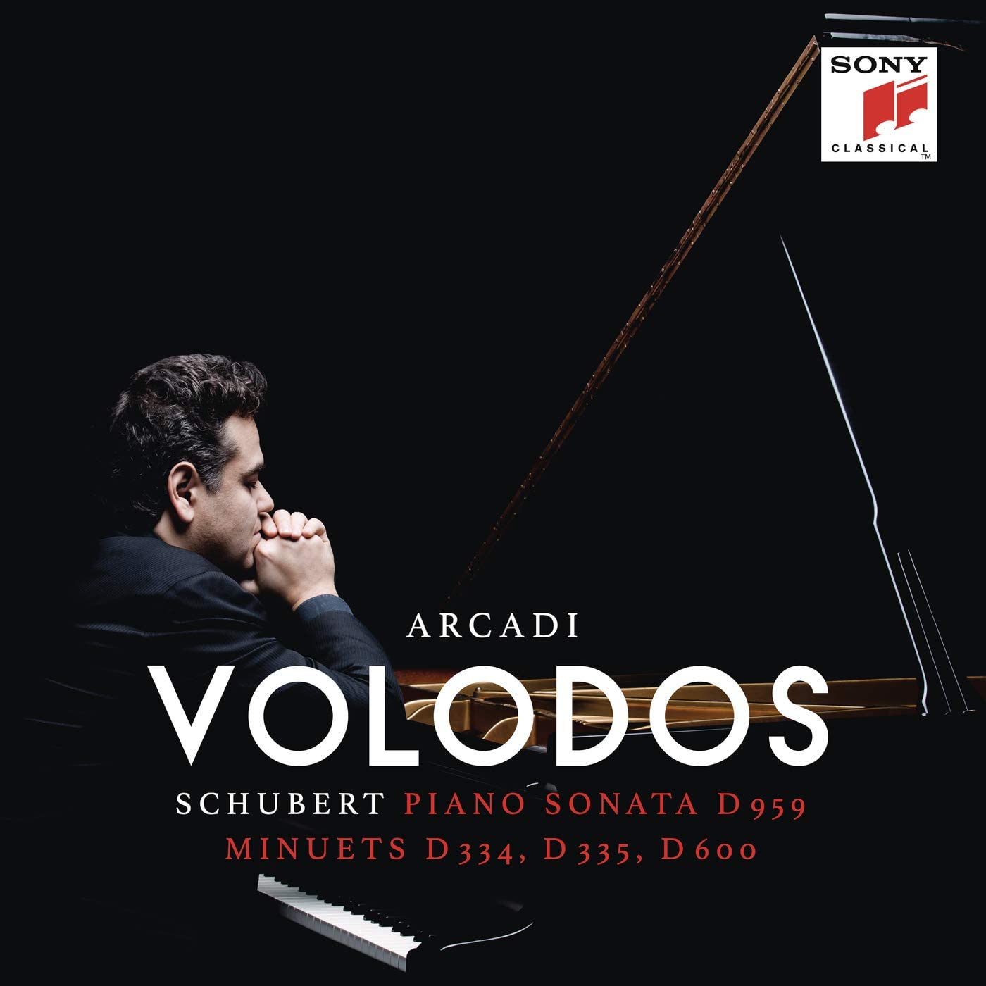 Schubert: Piano Sonata D.959 & Minuets D. 334, D. 335, D. 600 - Vinyl | Arcadi Volodos