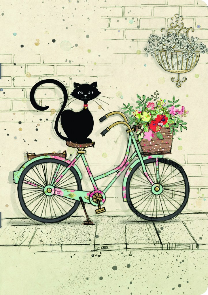 Caiet - Chats Sur Velo | Kiub