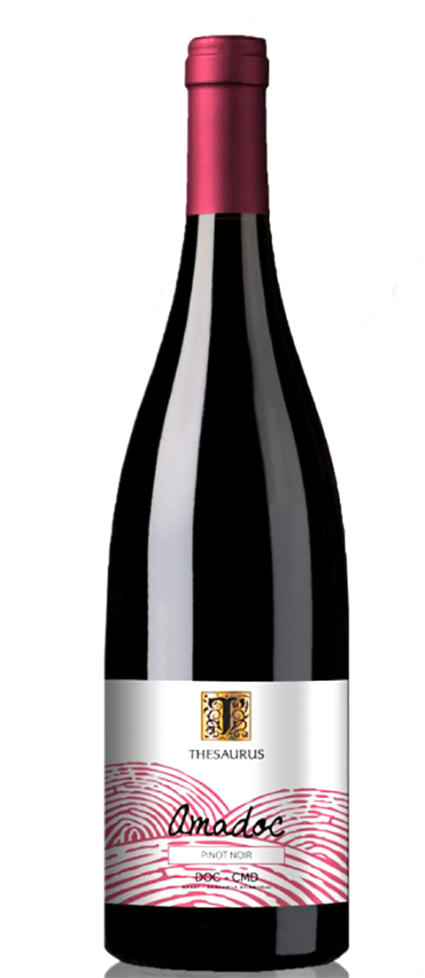  Vin rosu - Amadoc, Pinot Noir, sec, 2018 | Thesaurus 