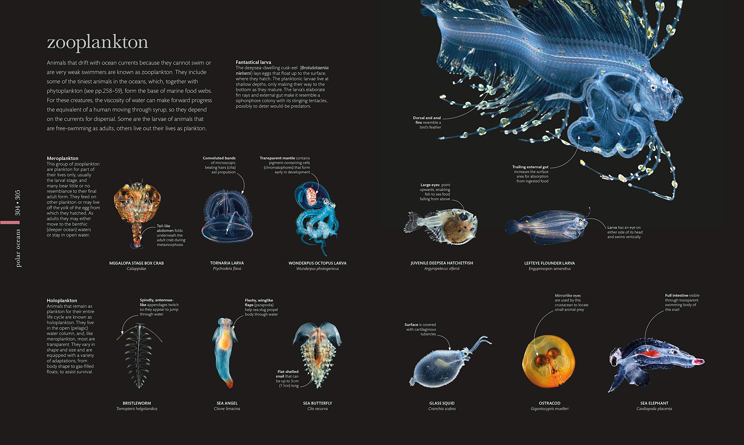 The Science of the Ocean | - 7 | YEO