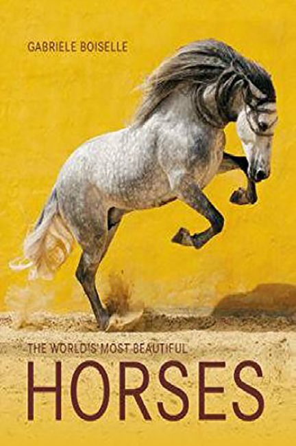 The World\'s Most Beautiful Horses | Gabrielle Boiselle