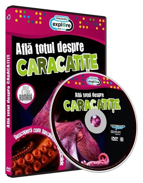 Afla totul despre Caracatite |