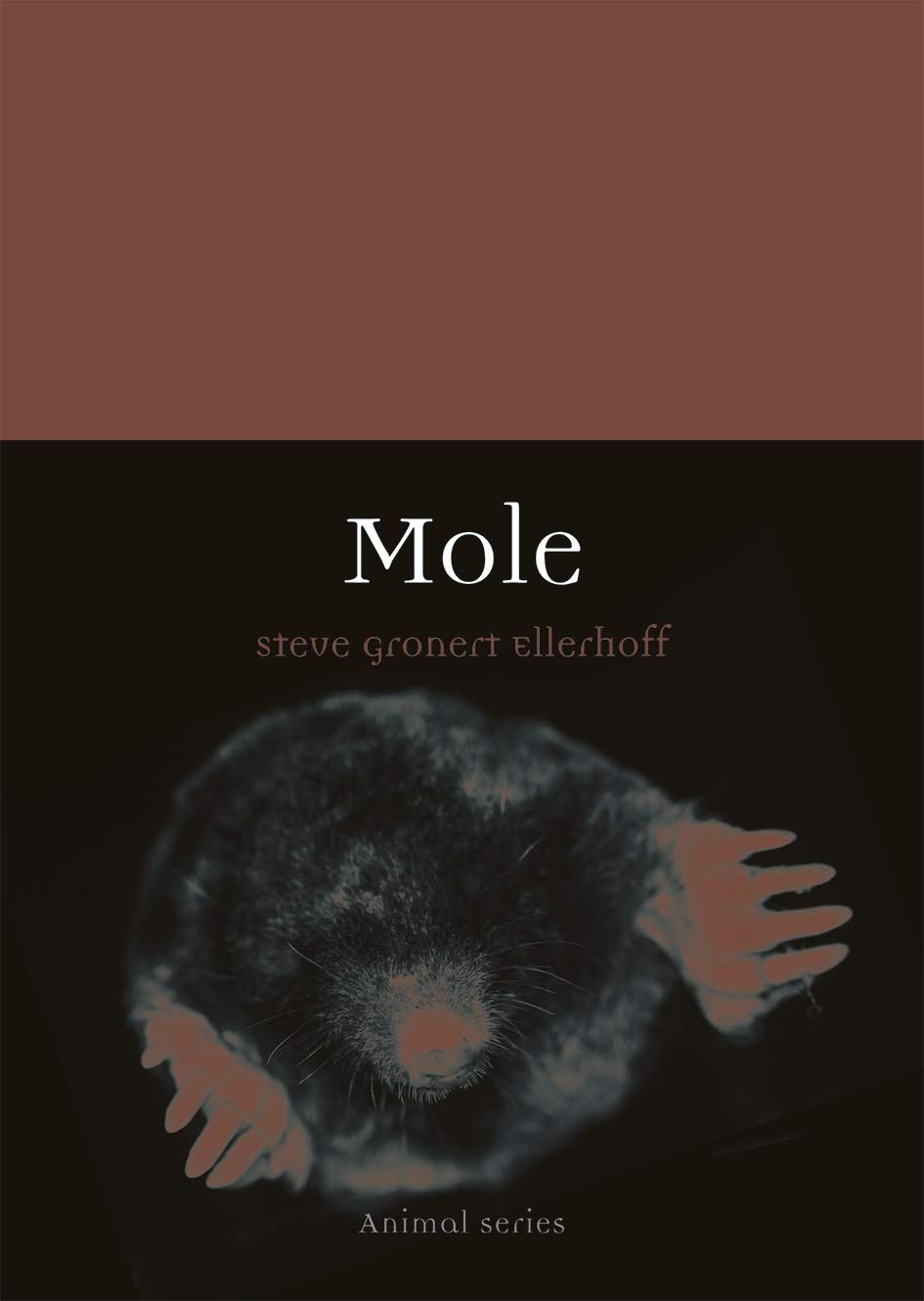 Mole | Steve Gronert Ellerhoff