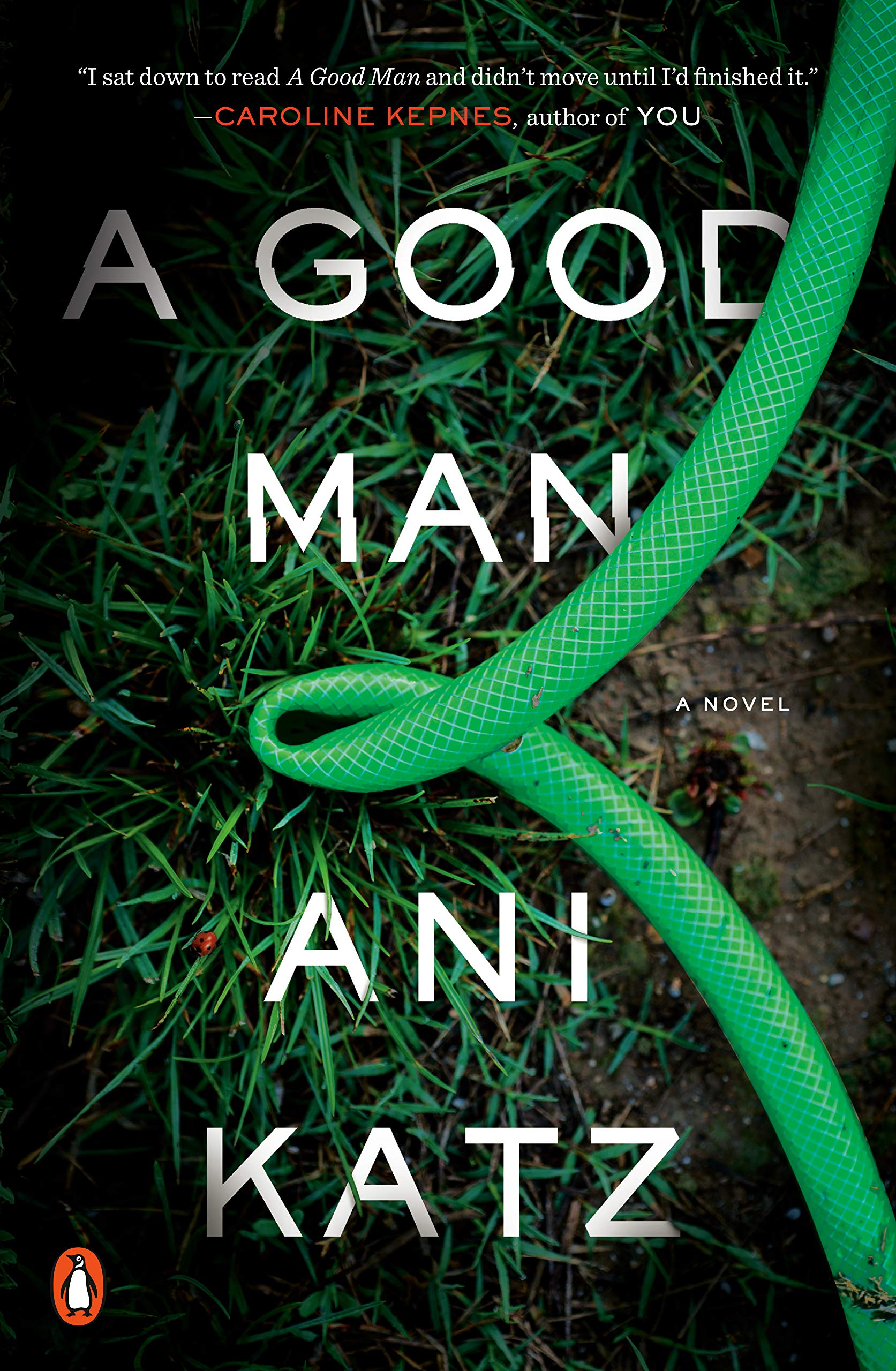 A Good Man | Ani Katz