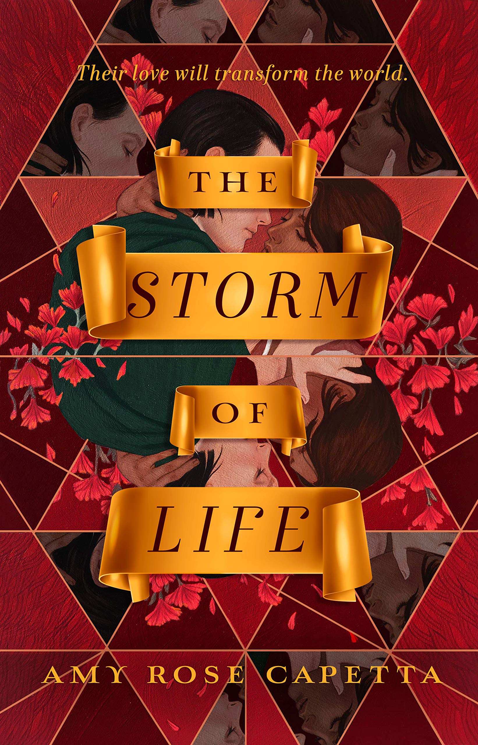 Storm of Life | Amy Rose Capetta