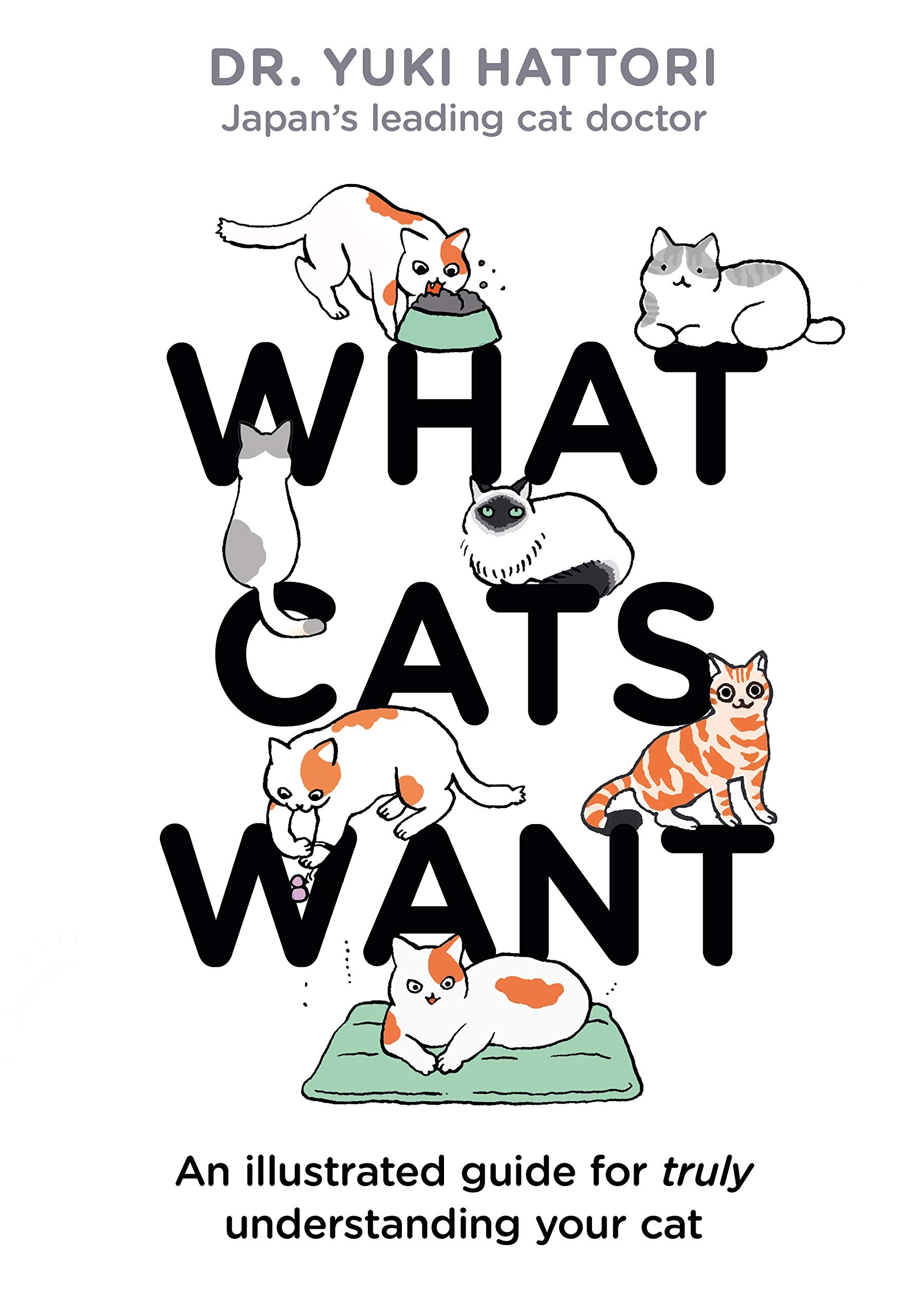 What Cats Want | Yuki Hattori