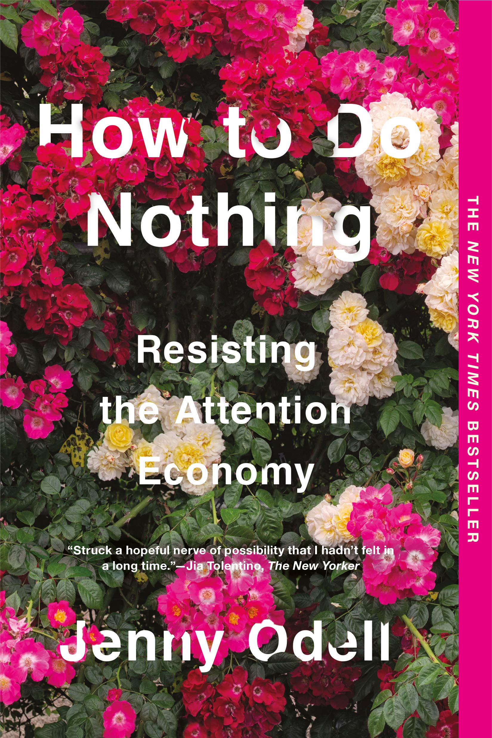 How to Do Nothing | Jenny Odell