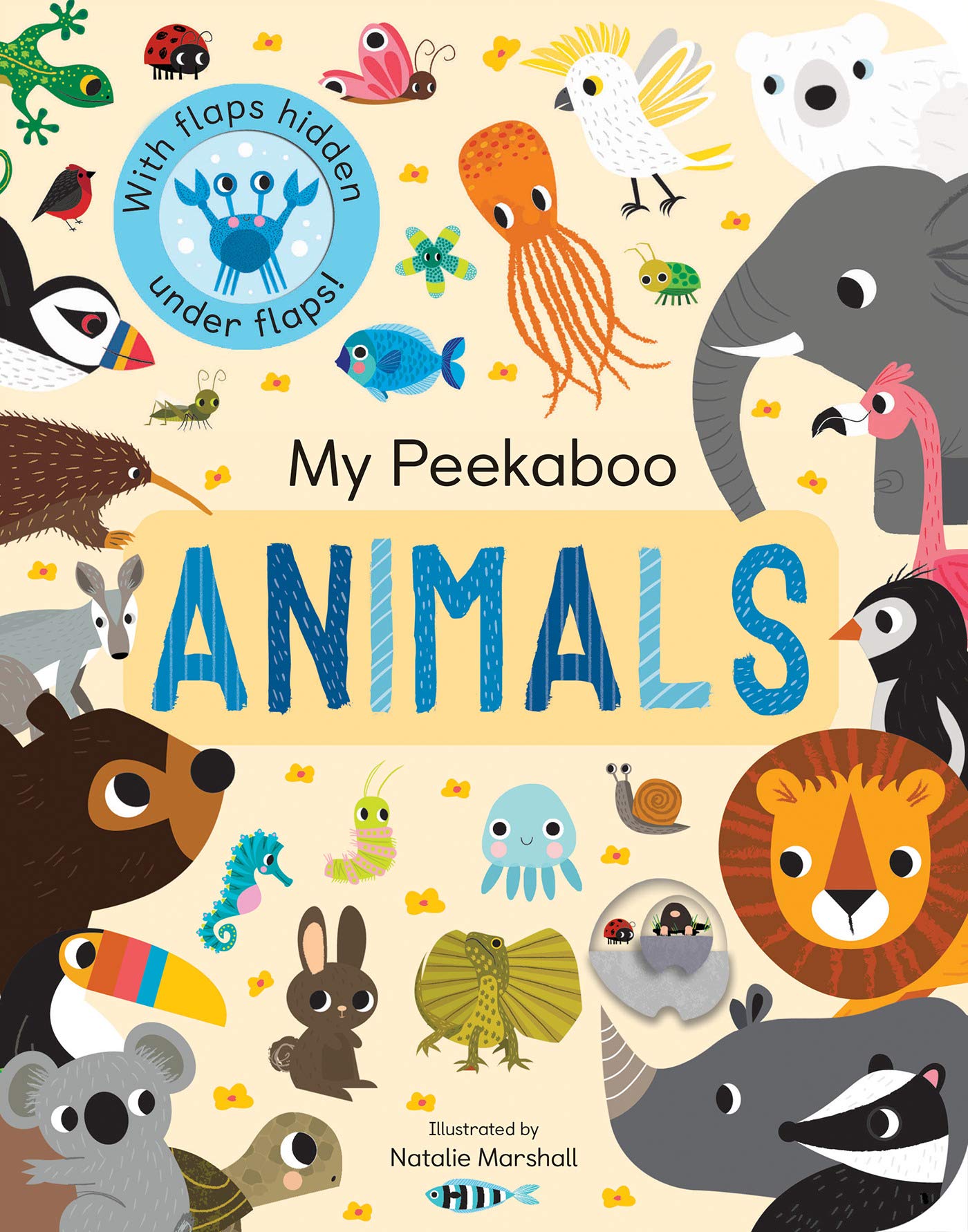 My Peekaboo Animals | Nicola Edwards