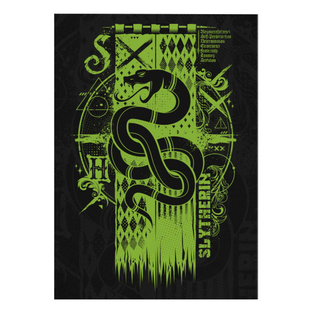 Mini Poster - Slytherin Harry Potter | Displate