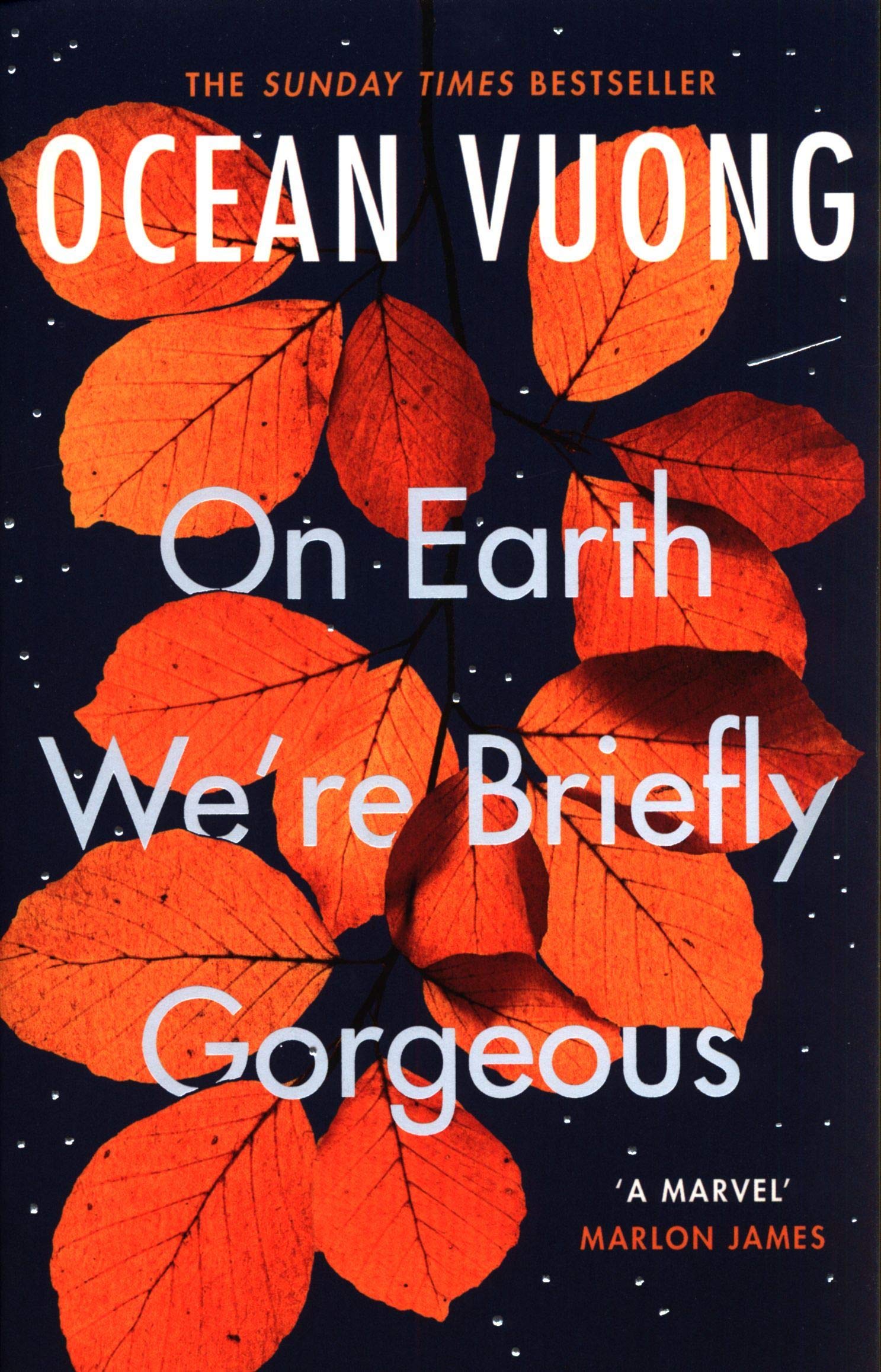 On Earth We\'re Briefly Gorgeous | Ocean Vuong