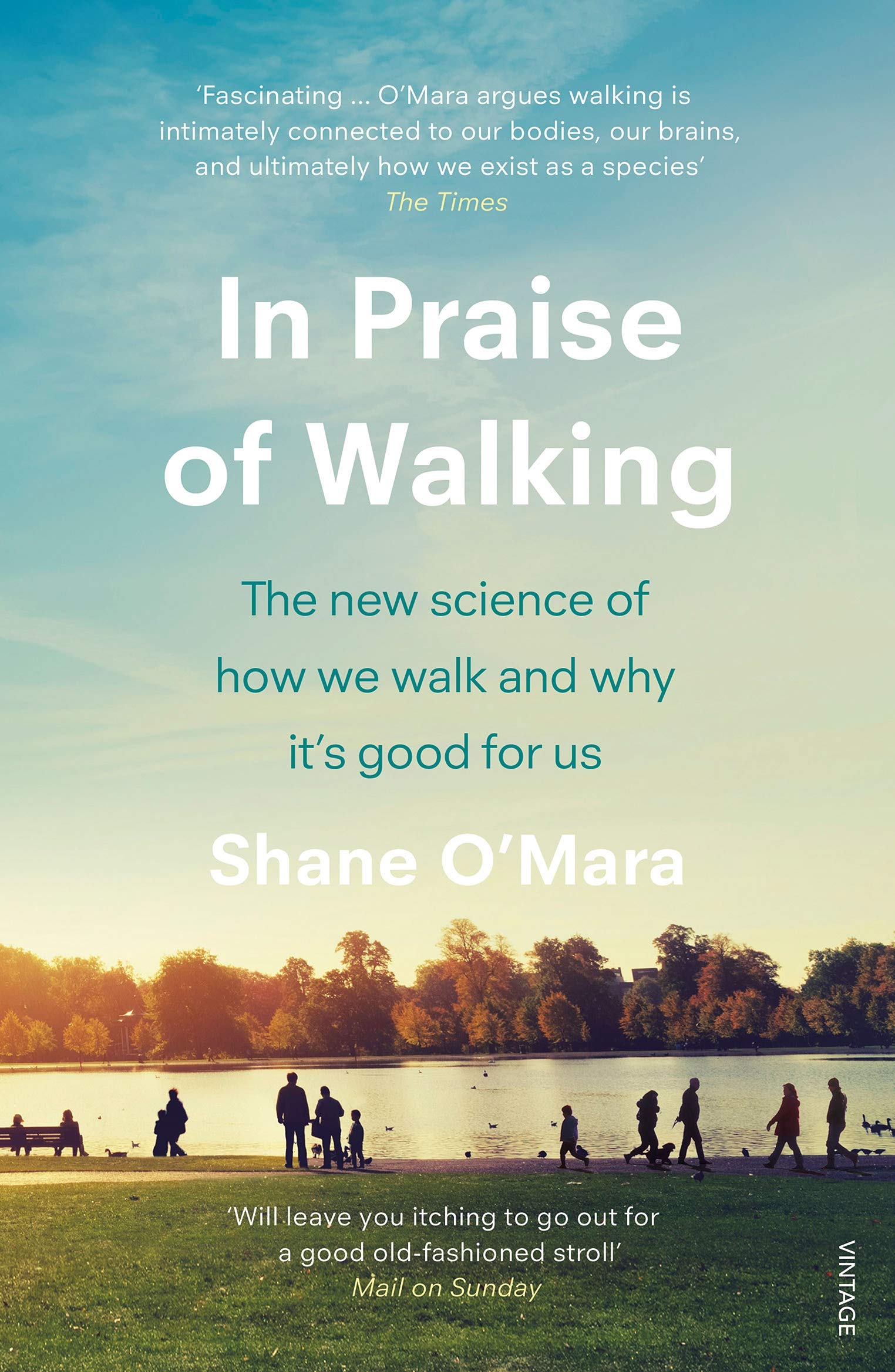 In Praise of Walking | Shane O\'Mara