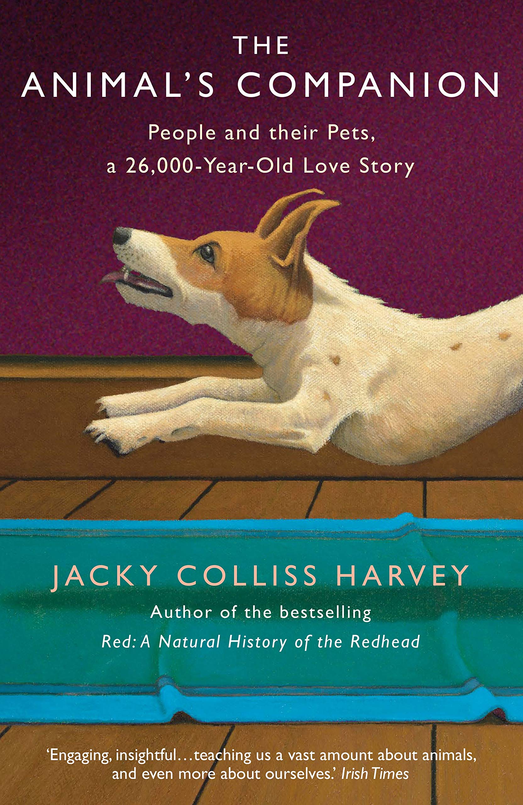 Animal\'s Companion | Jacky Colliss Harvey