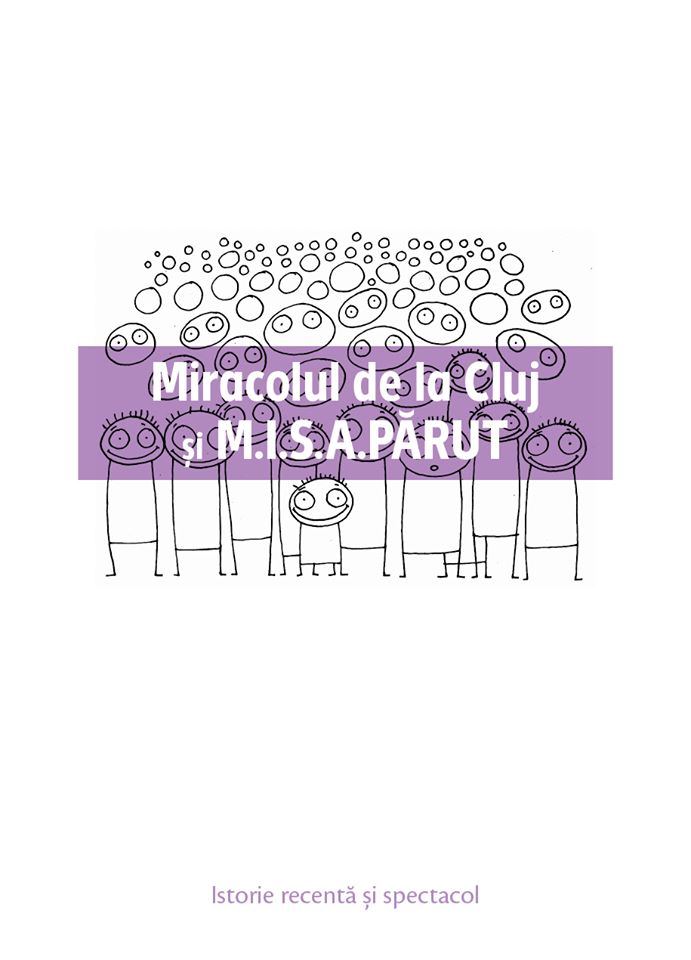 Miracolul de la Cluj si M.I.S.A.PARUT | Gabriel Andreescu carturesti.ro Carte