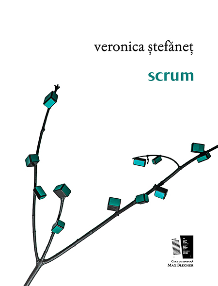 Scrum | Veronica Stefanet carturesti.ro Carte