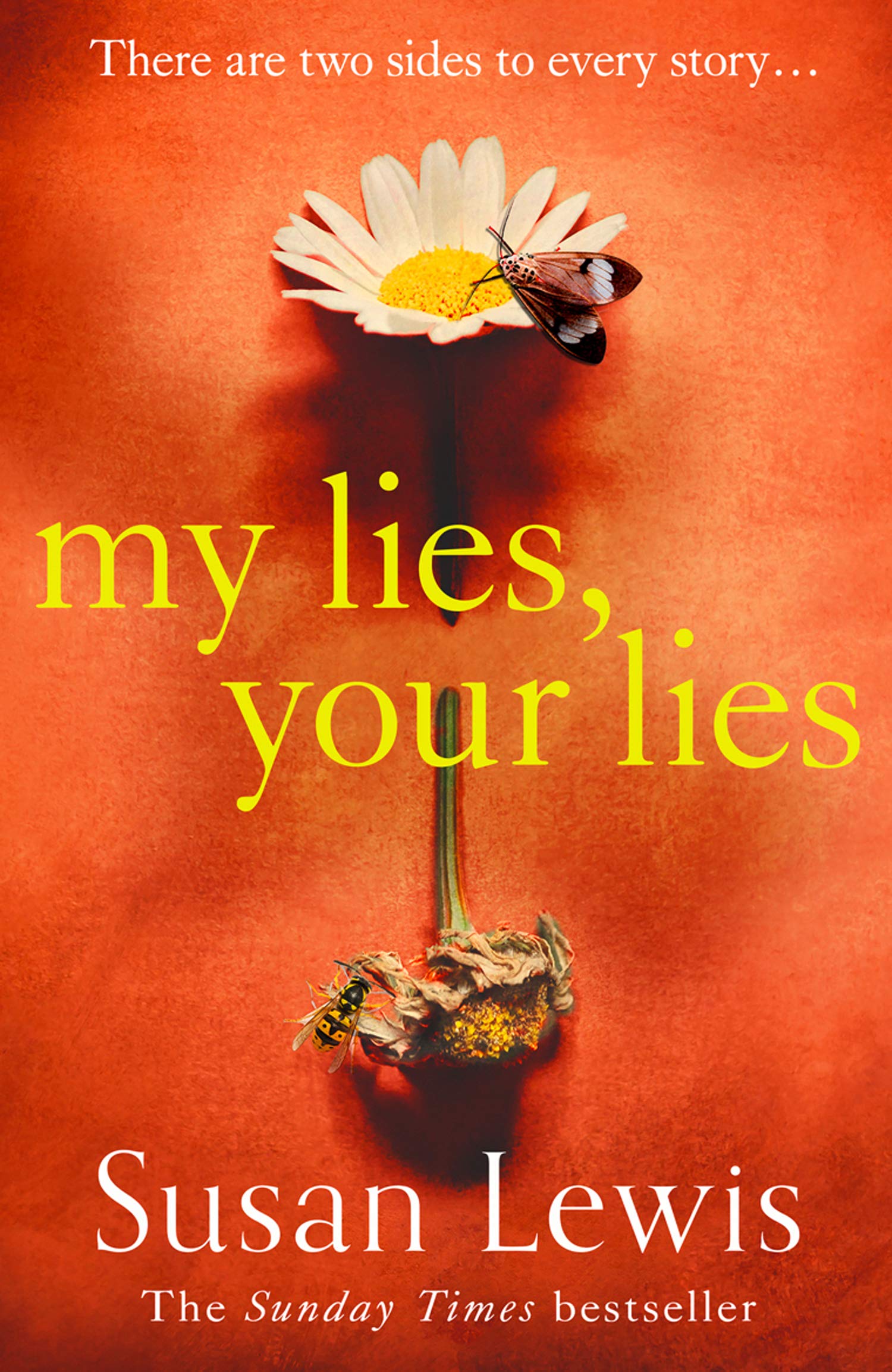 My Lies, Your Lies | Susan Lewis