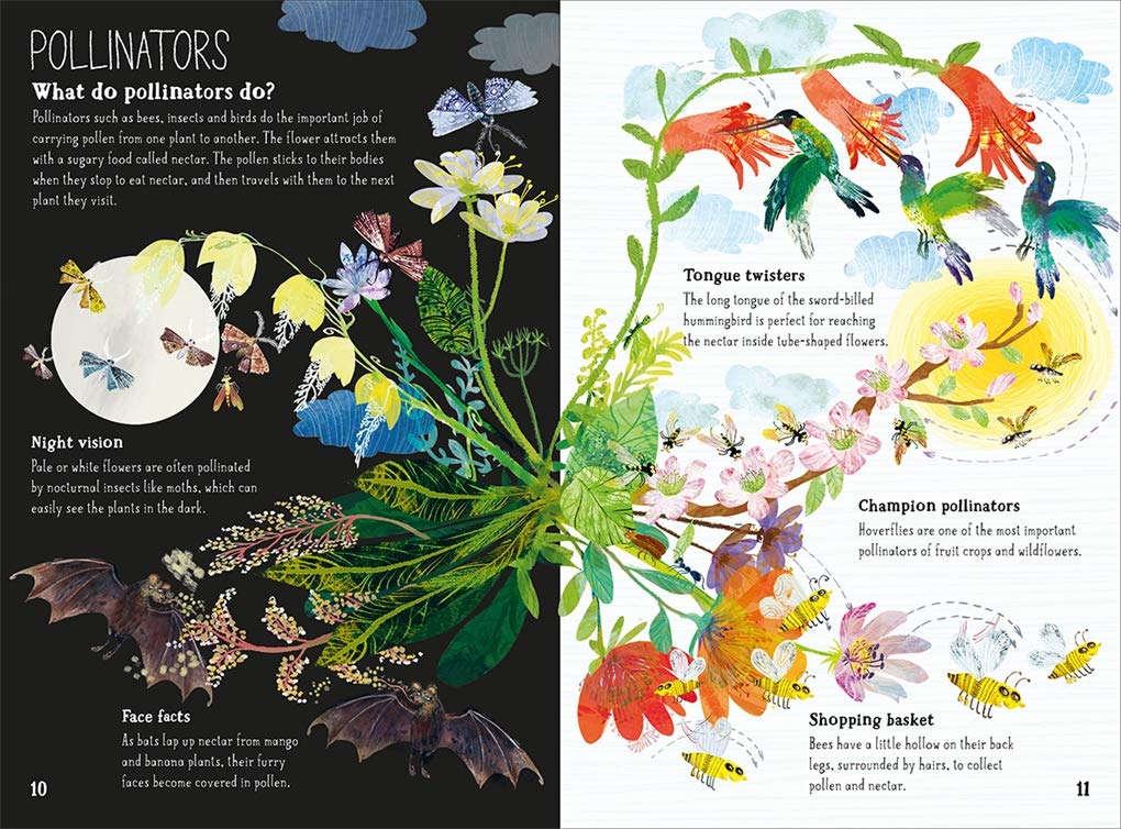 Vezi detalii pentru Big Book of Blooms | Yuval Zommer