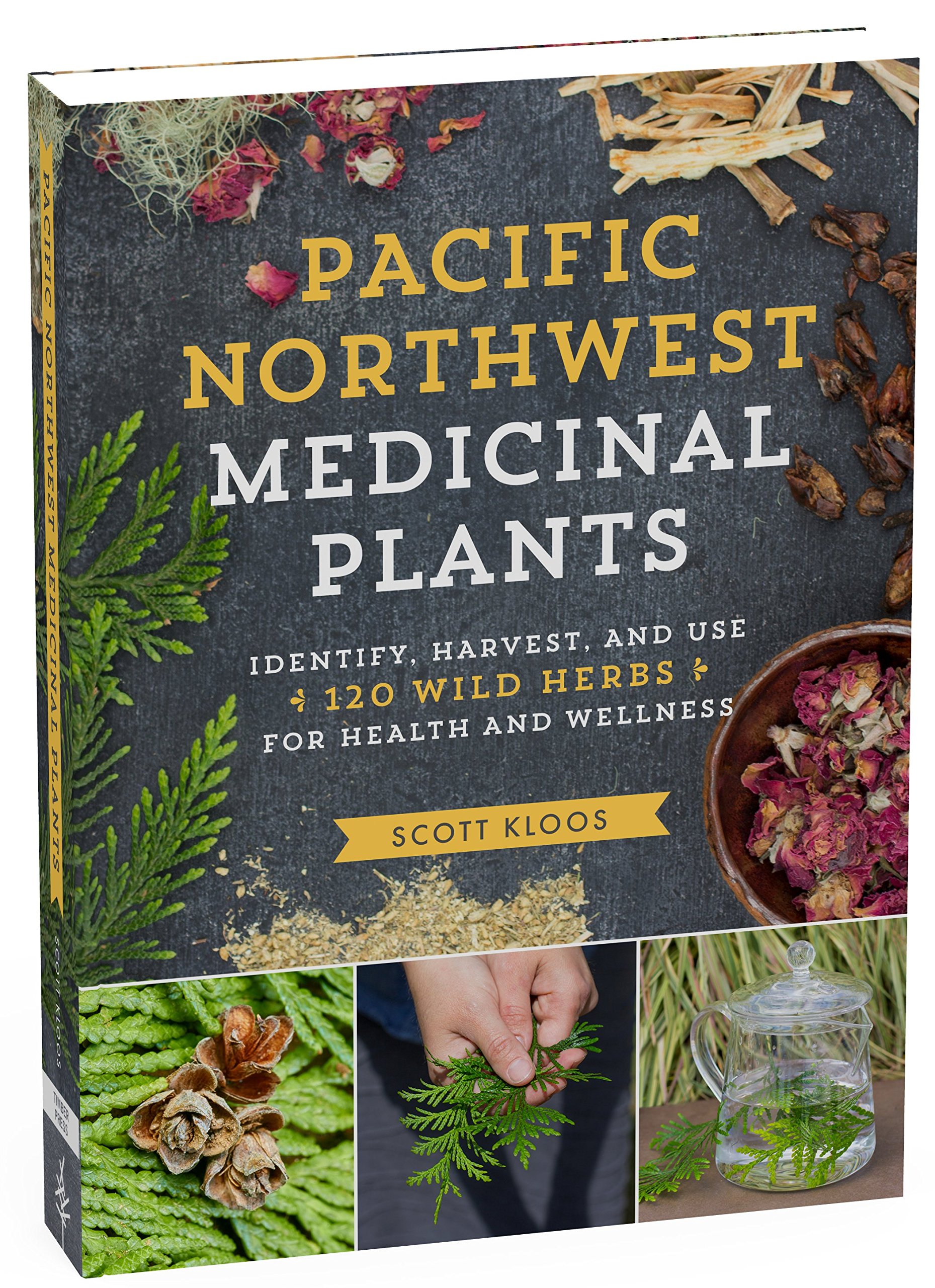 Pacific Northwest Medicinal Plants | Scott Kloos