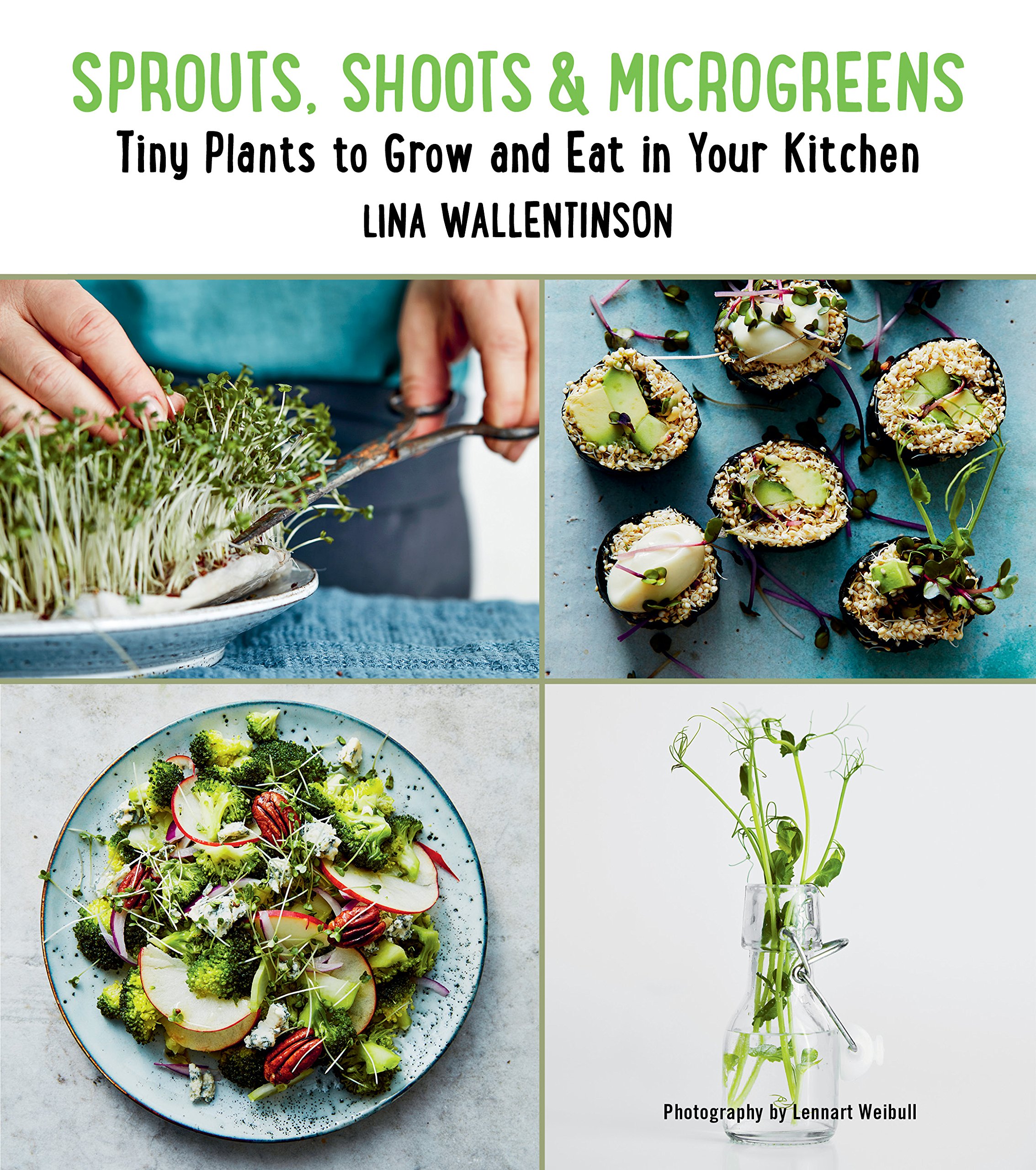 Sprouts, Shoots, and Microgreens | Lina Wallentinson image0