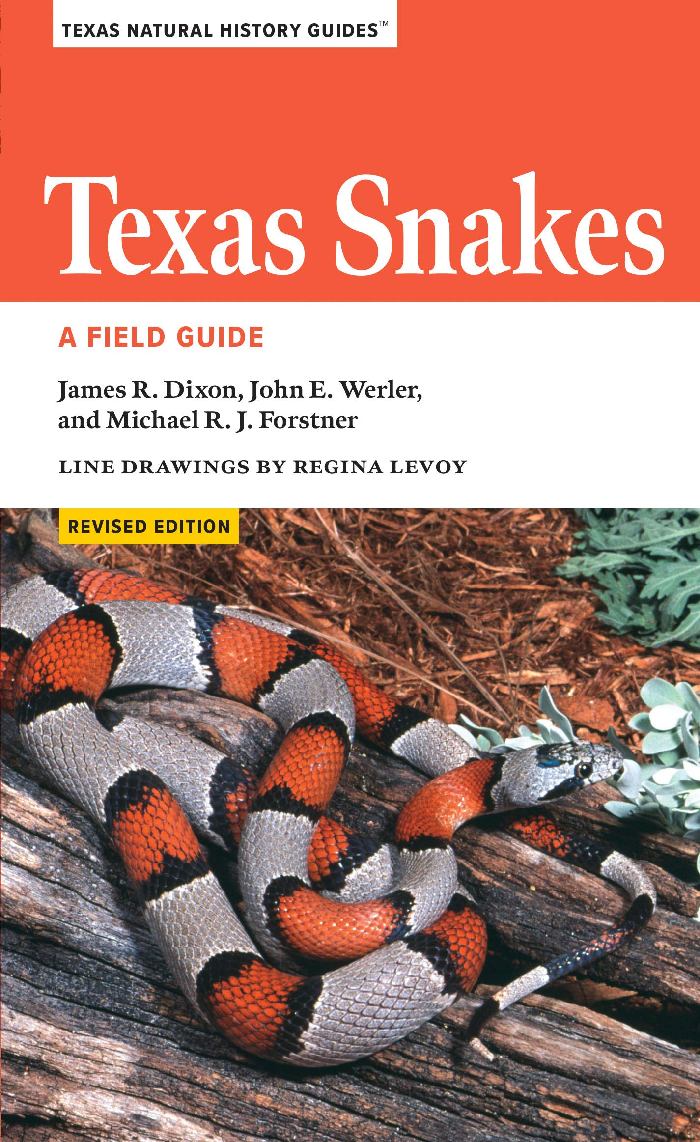Texas Snakes | James R. Dixon, John E. Werler, Michael Forstner