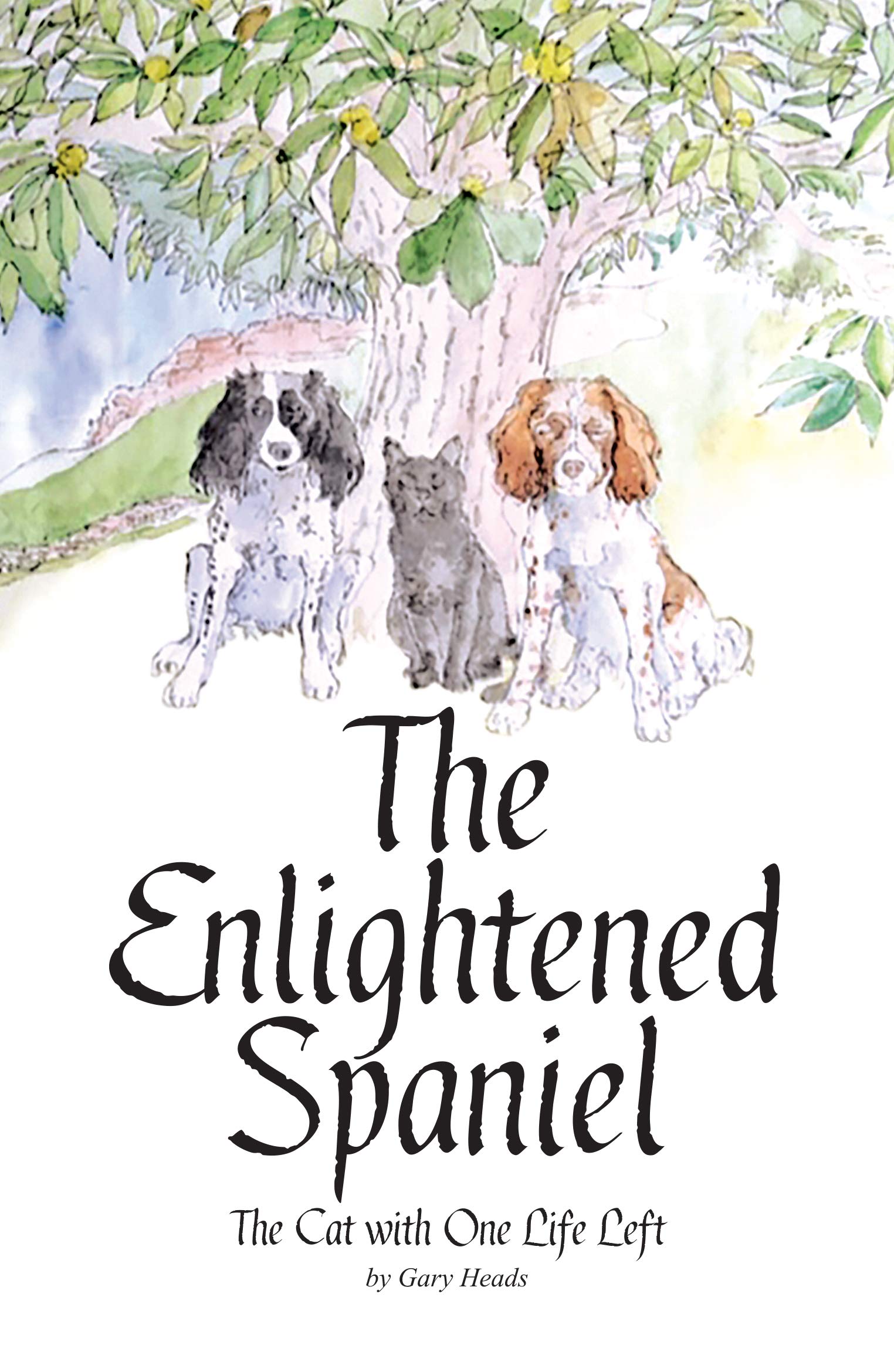 Enlightened Spaniel | Gary Heads