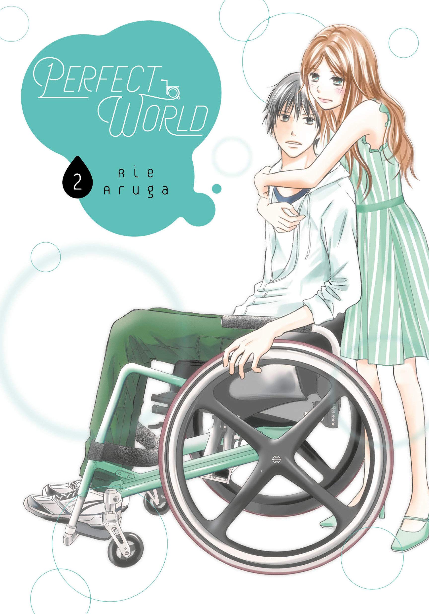 Perfect World - Volume 2 | Rie Aruga