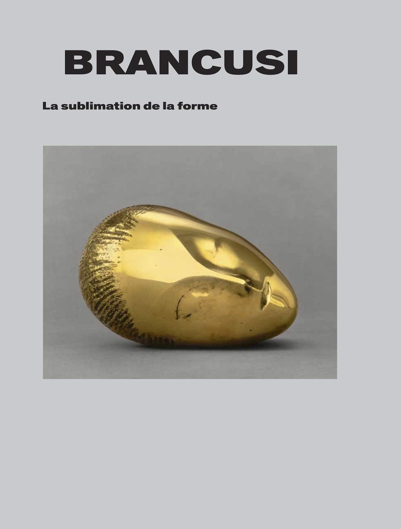 Brancusi | Doina Lemny