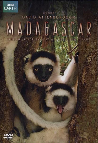 Madagascar / Madagascar - The Land Where Evolution Ran Wild | Michael Gunton, Mary Summerill, Emma Napper