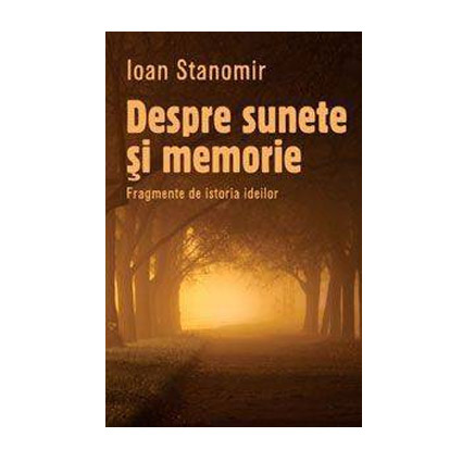 Despre Sunete Si Memorie | Ioan Stanomir