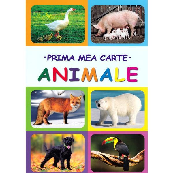 Prima mea carte - Animale | Gutu Irina, Cernomoret Voctoria