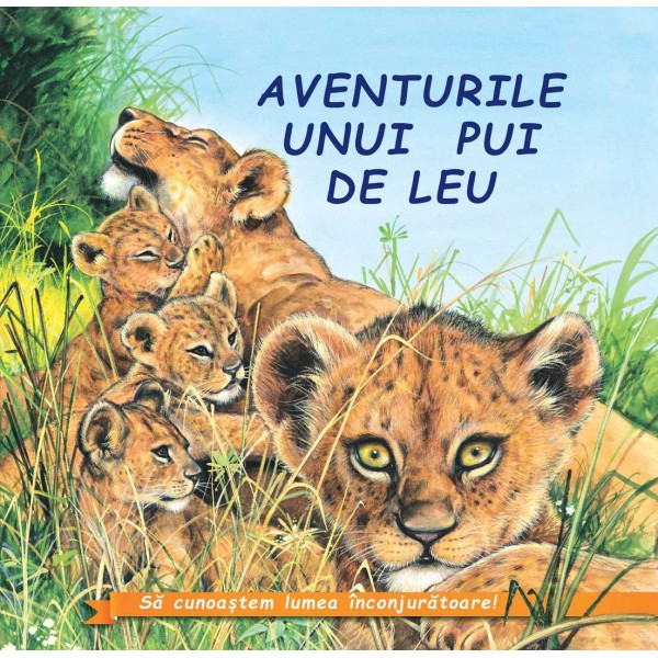 PDF Aventurile unui pui de leu | Gheorghe Ghetu Biblion Bibliografie scolara