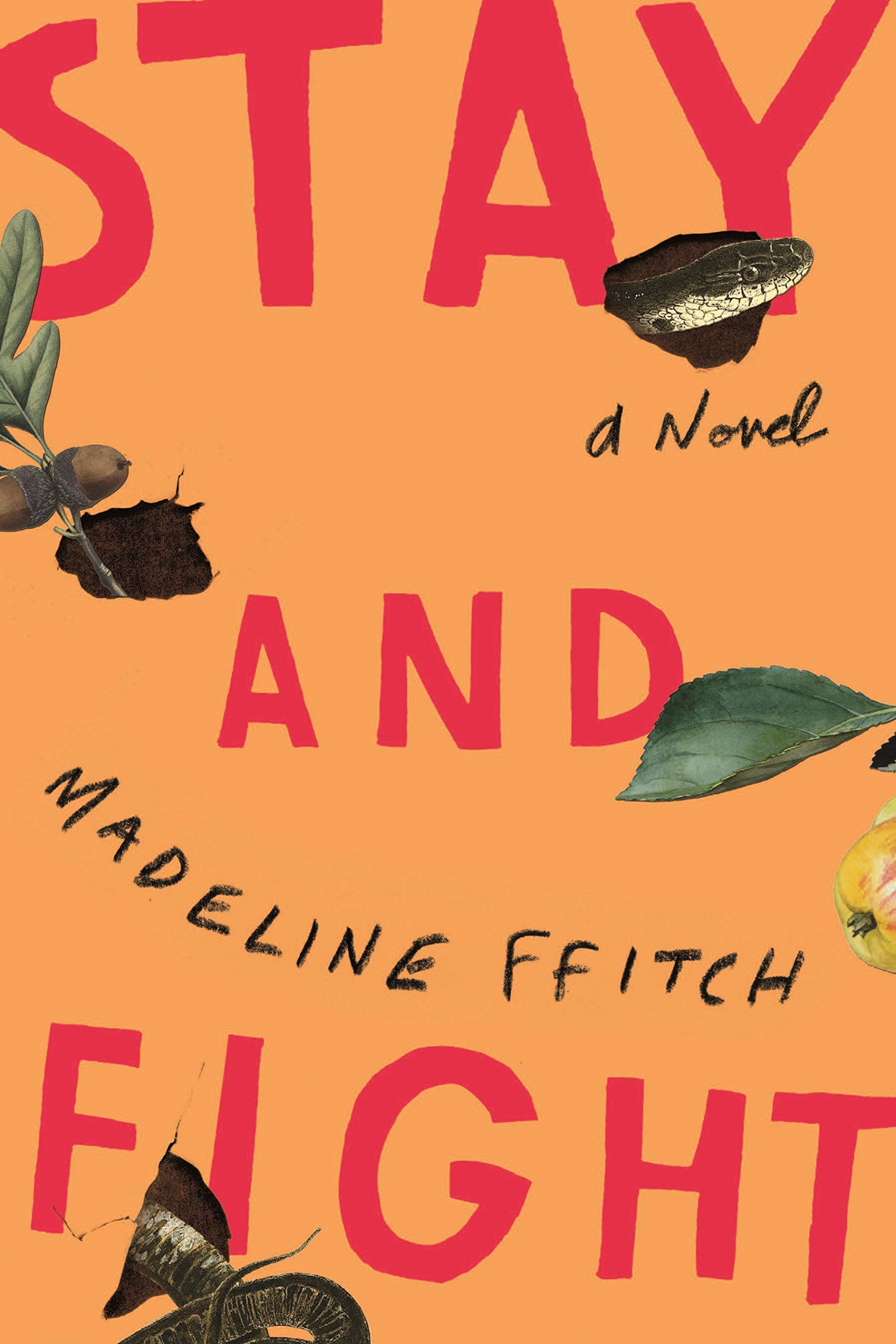 Stay and Fight | Madeline Ffitch