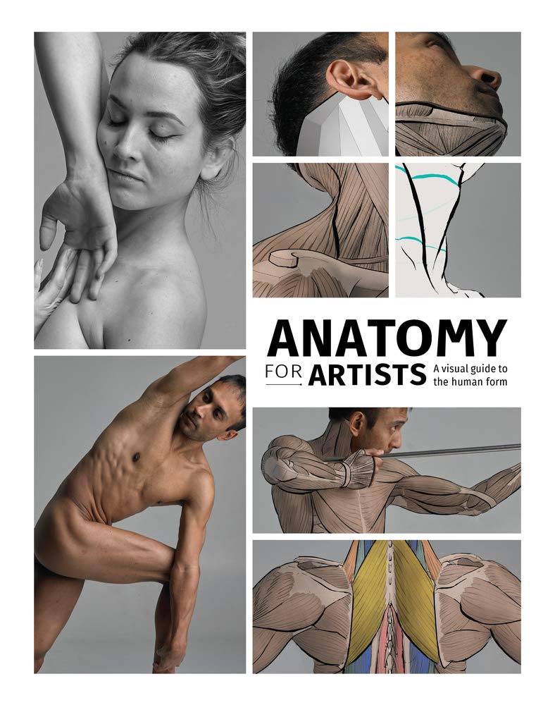 Anatomy for Artists | 