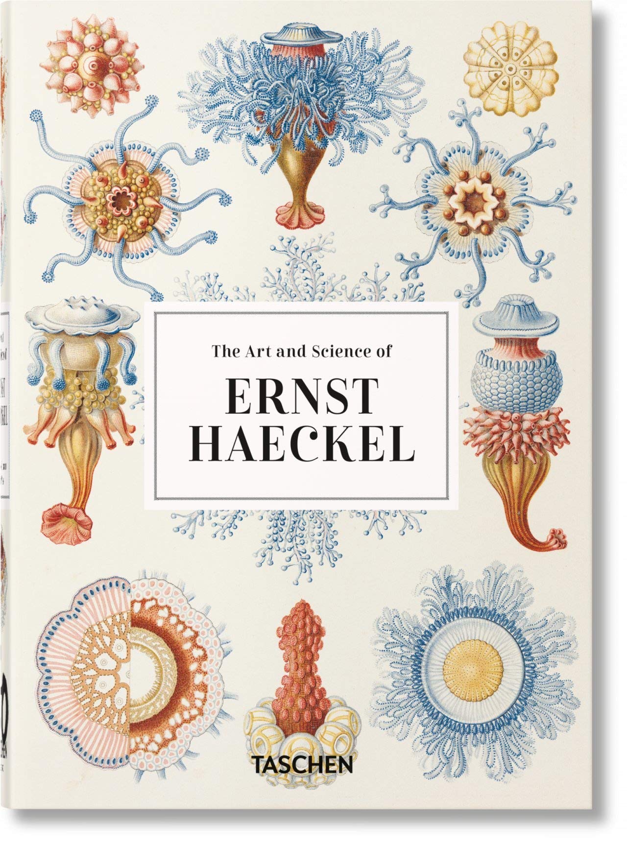 The Art and Science of Ernst Haeckel | Rainer Willmann, Julia Voss
