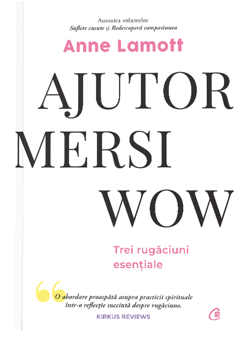 Ajutor! Mersi! Wow!  | Anne Lamott