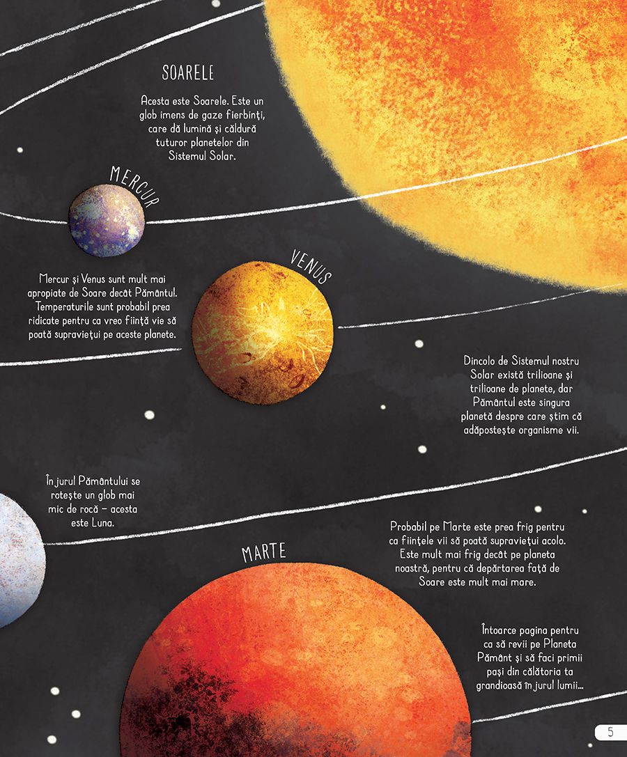 Planeta Pamant | - 3 | YEO