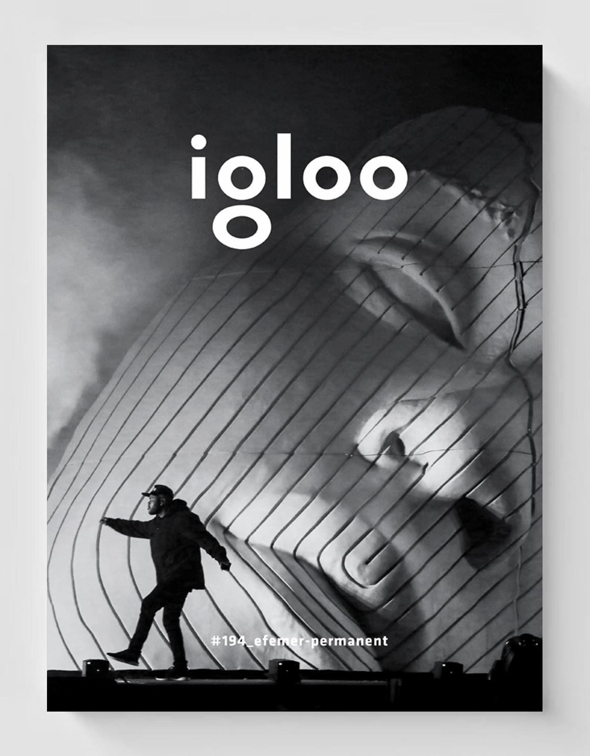 Revista Igloo #194 | carturesti 2022