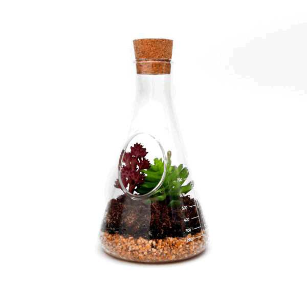 Kit pentru plante - Chemistry Terrarium | Suck Uk